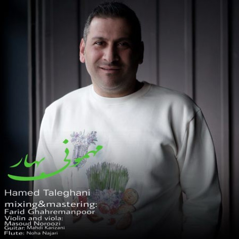 دانلود آهنگ حامد طالقانی مهمونی بهار