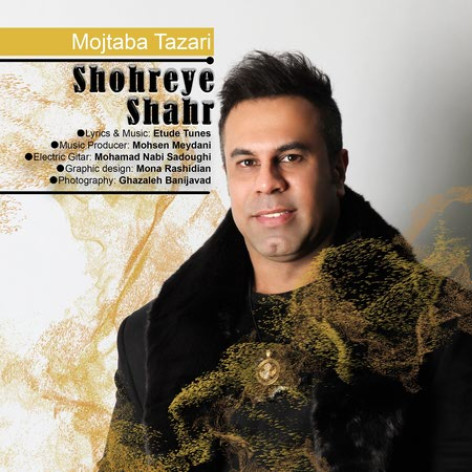 دانلود آهنگ مجتبی طزری شهره ی شهر دانلود آهنگ مجتبی طزری شهره ی شهر