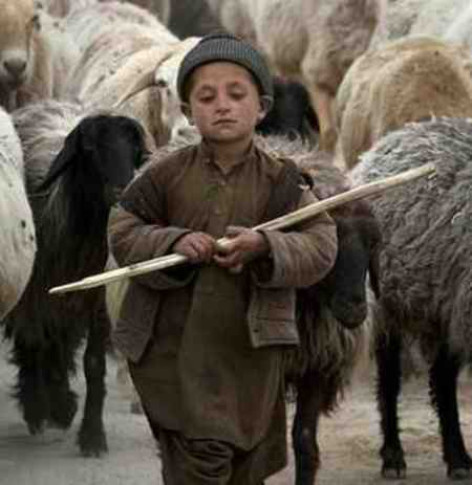 دانلود آهنگ چوپان تنها دانلود آهنگ چوپان تنها