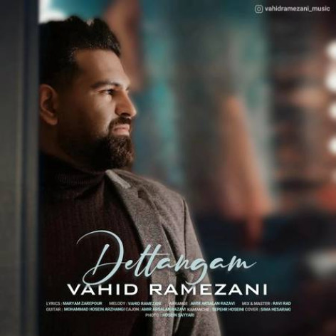 دانلود آهنگ وحید رمضانی دلتنگم