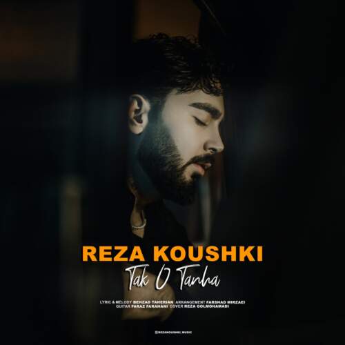 دانلود آهنگ بنام تک و تنها با صدای ضا کوشکی