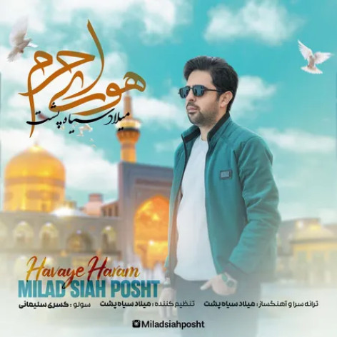 دانلود آهنگ میلاد سیاه پشت هوای حرم