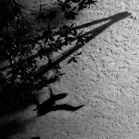 دانلود آهنگ on the nature of daylight