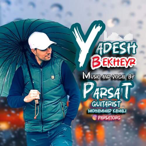 دانلود آهنگ بنام یادش بخیر با صدای پارسا تی