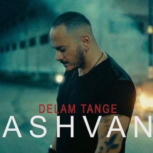 دانلود آهنگ بنام دلم تنگه با صدای اشوان