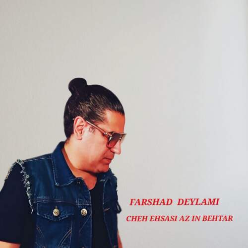 دانلود آهنگ بنام چه احساسی از این بهتر با صدای فرشاد دیلمی
