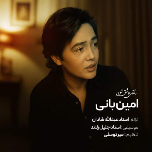 دانلود آهنگ  وقتی عاشق شوی با صدای امین بانی