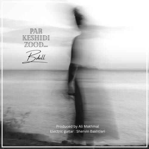 دانلود آهنگ  پر کشیدی زود با صدای بیدل