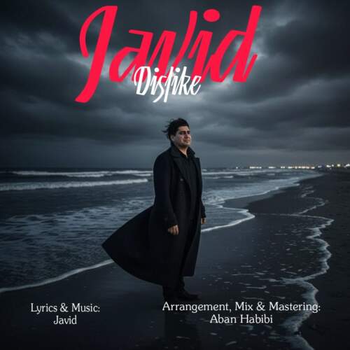 دانلود آهنگ  دوست ندارم با صدای جاوید