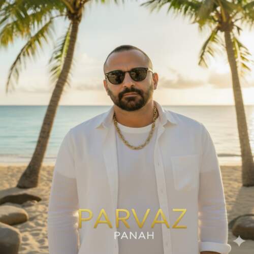 دانلود آهنگ  پناه با صدای پرواز