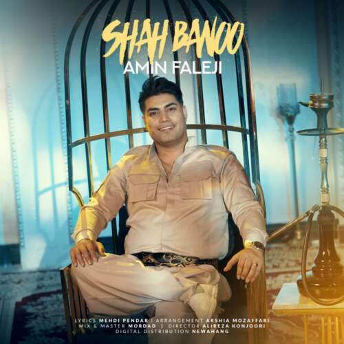 دانلود آهنگ   با صدای امین فالجی