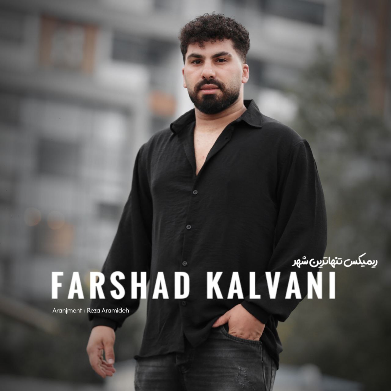 دانلود آهنگ  ریمیکس تنها ترین شهر با صدای فرشاد کلوانی