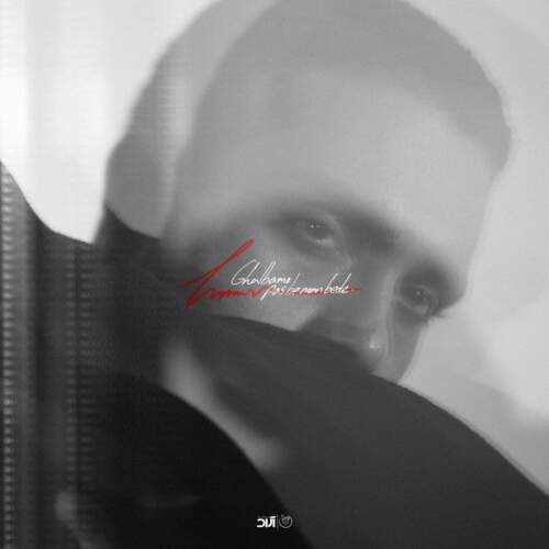 دانلود آهنگ  قلبمو پس بده با صدای حامیم