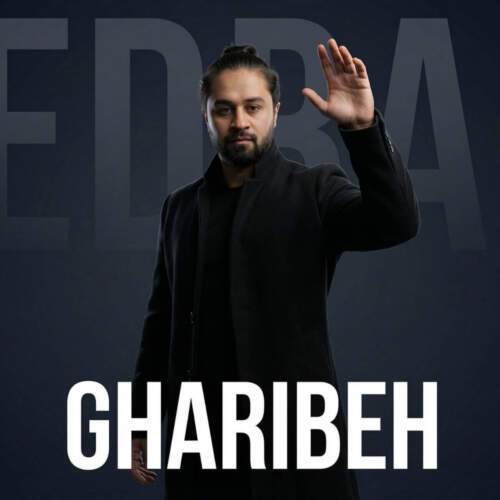 دانلود آهنگ  کار منه با صدای بهروز نیک