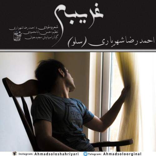 دانلود آهنگ  غریبه با صدای احمد سلو