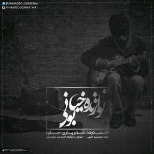 دانلود آهنگ نوازنده خیابانی با صدای احمد سلو