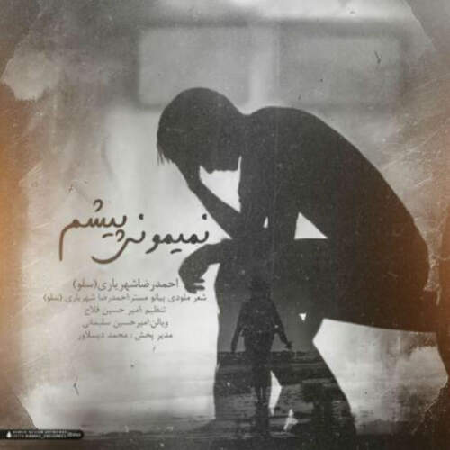 دانلود آهنگ  نمیمونی پیشم با صدای احمد سلو