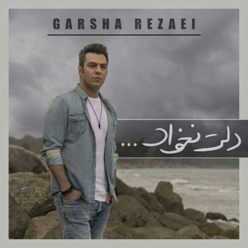 دانلود آهنگ دلت نخواد با صدای گرشا رضایی