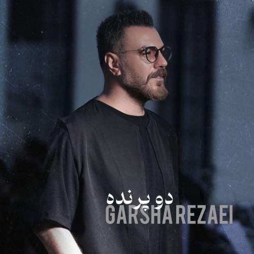 دانلود آهنگ دو پرنده با صدای گرشا رضایی