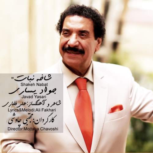 دانلود آهنگ  شاخه نبات با صدای جواد یساری