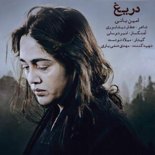 دانلود آهنگ  دریغ با صدای امین بانی