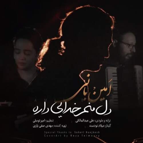 دانلود آهنگ  دل منم خدایی داره با صدای امین بانی