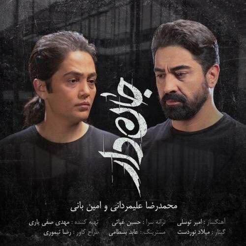 دانلود آهنگ  جان دار با صدای امین بانی