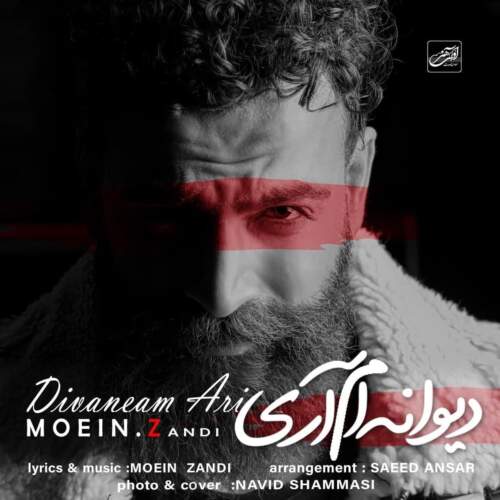 دانلود آهنگ  دیوانه ام آری با صدای معین زندی