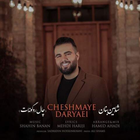 دانلود آهنگ  چال رو گونه ات با صدای شاهین بنان