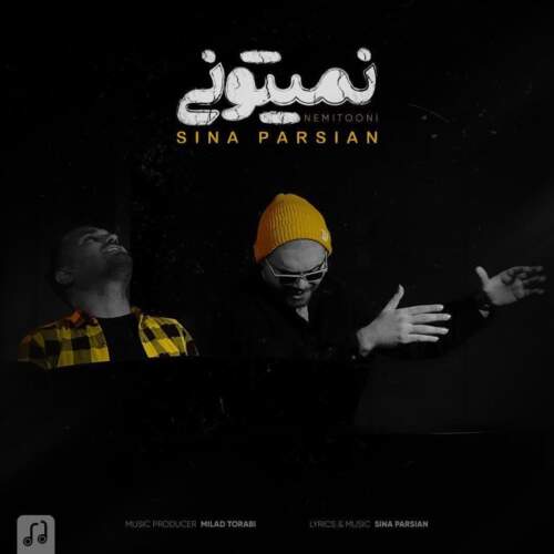 دانلود آهنگ  نمیتونی با صدای سینا پارسیان