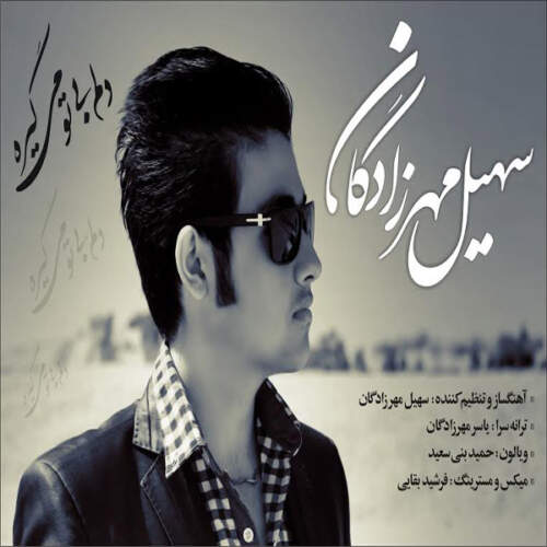 دانلود آهنگ  دلم بی تو میگیره با صدای سهیل مهرزادگان