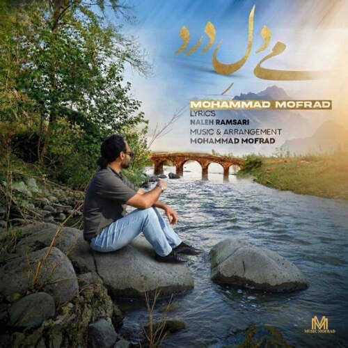 دانلود آهنگ  می دل درد با صدای محمد مفرد