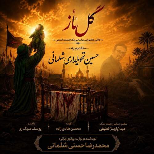 دانلود آهنگ  گل ناز با صدای محمدرضا حسنی و یوسف سبک رو